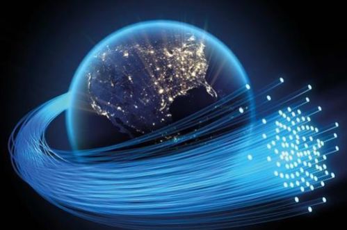 科技赋能，强劲支持 Velia德国维亚网络如何以专用服务器驱动企业未来